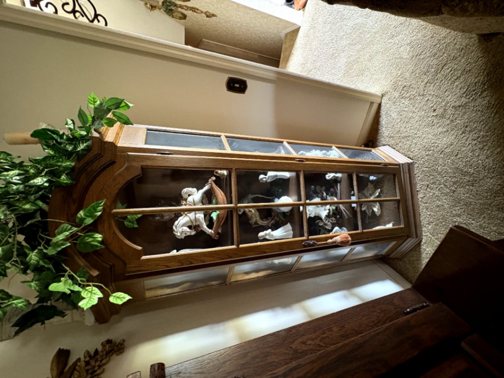 Glass Display Cabinet