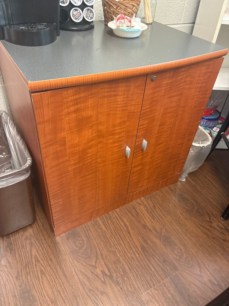 Wooden Storage Cabinet with Doors