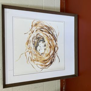 English Regency Period Framed Watercolor, Willow Wren Nest with Eggs