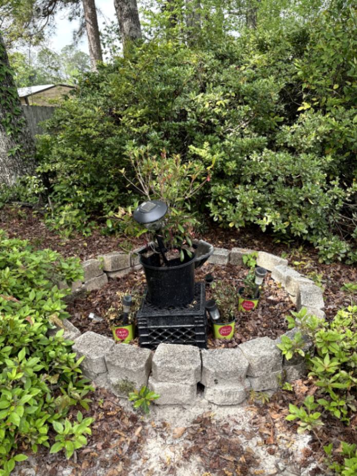 Garden Planter with Decorative Lights