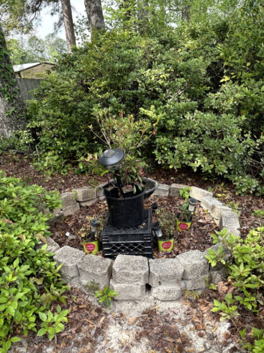 Garden Planter with Decorative Lights