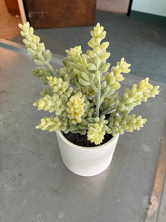 Artificial Succulent Plant in White Pot