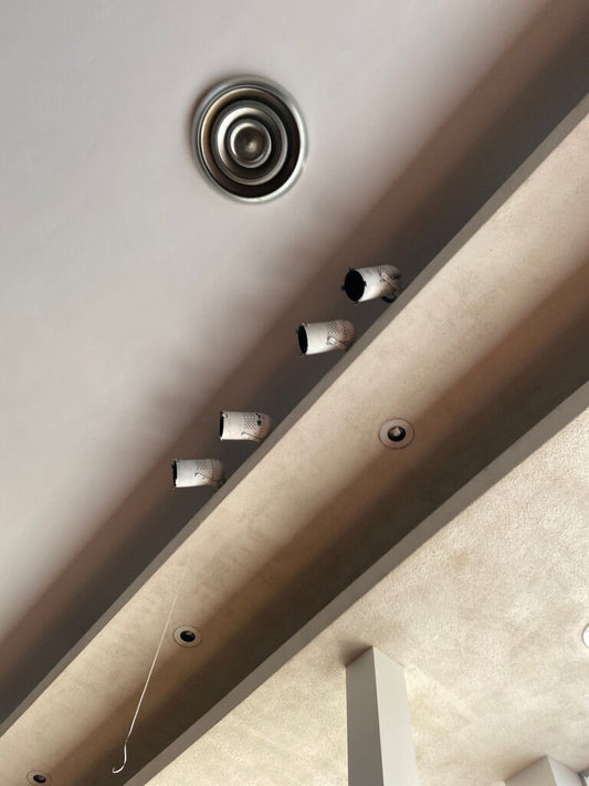 Ceiling Light Fixture