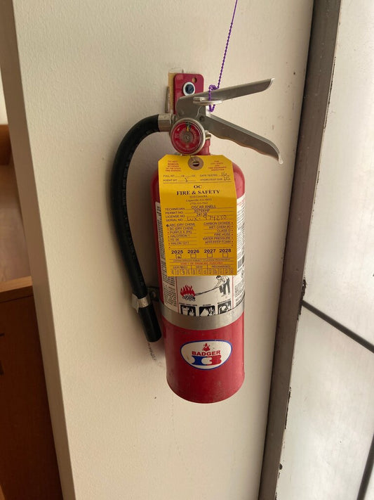 Badger Fire Extinguisher 3lb