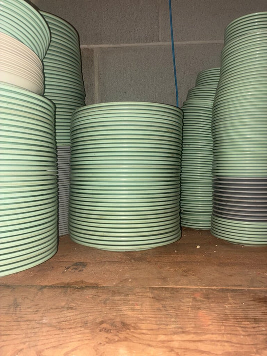 Green Striped Plates