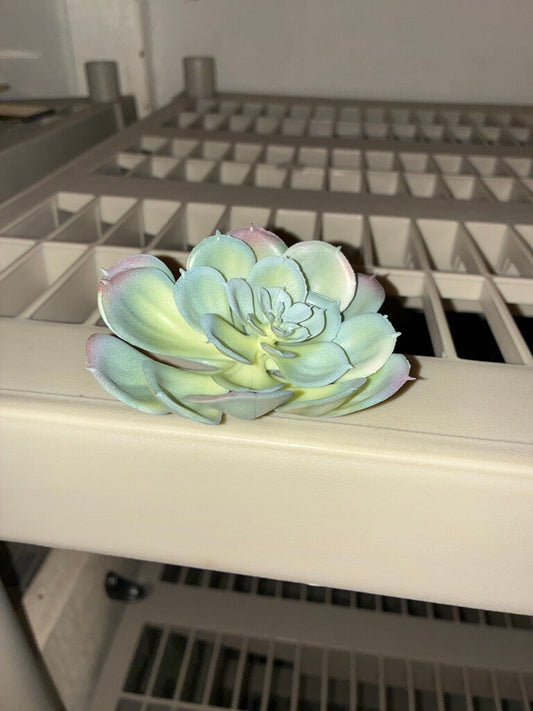 Artificial Succulent Plant