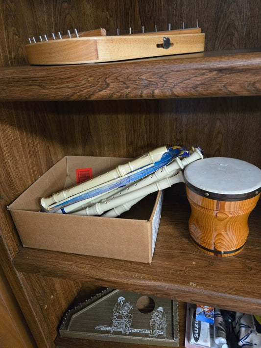 Musical Instrument Set including Recorders and Bongos