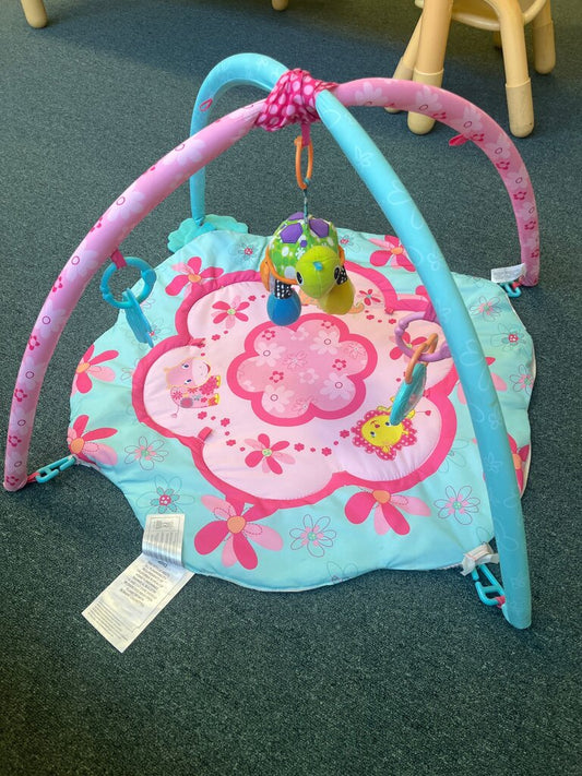 Baby Activity Play Gym