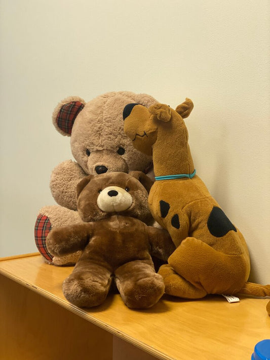 Stuffed Animal Set: Brown Bear and Scooby-Doo Plush