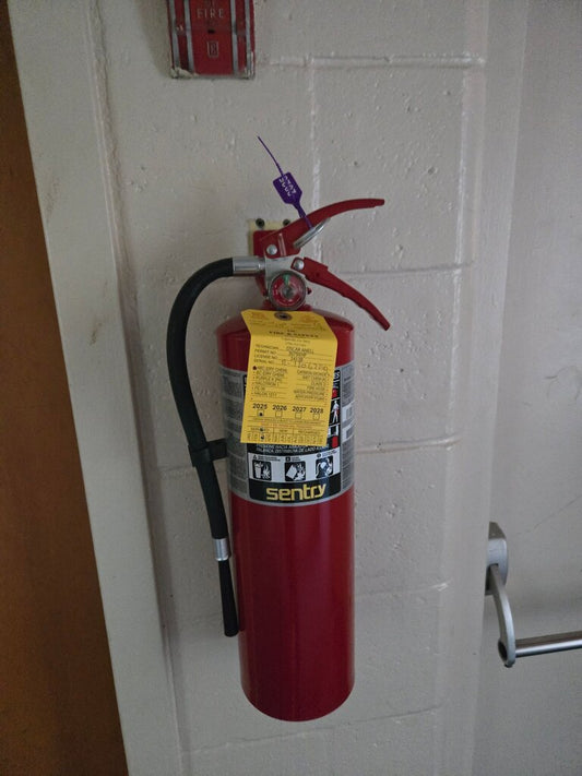 Sentry Fire Extinguisher