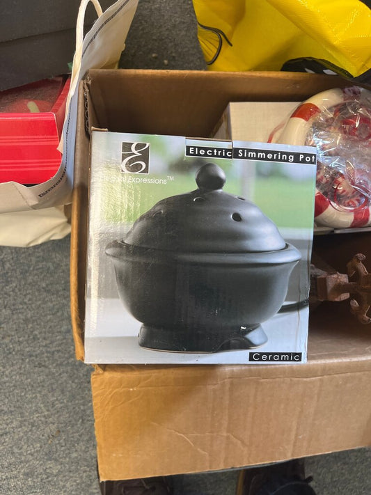 Elegant Expressions Electric Simmering Pot