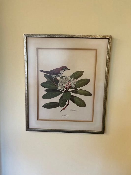 Framed Botanical Bird Print