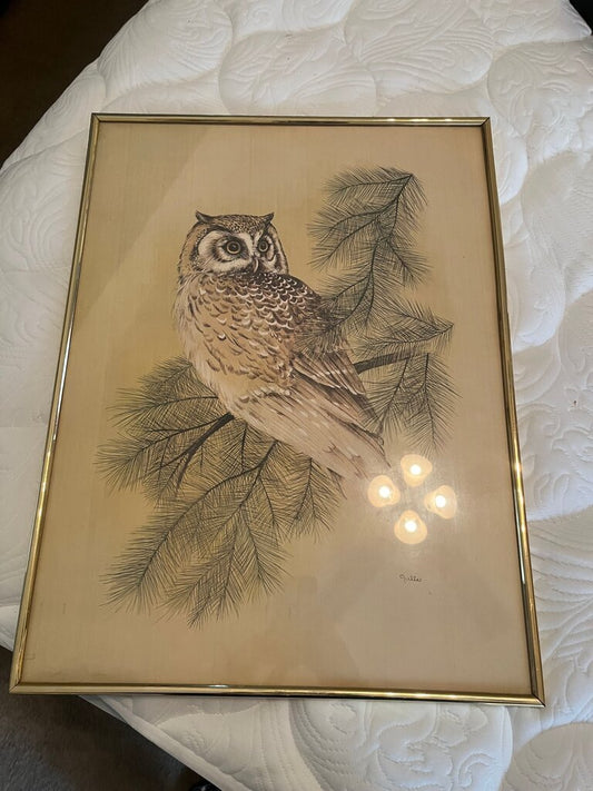 Framed Owl Print on Nature Background