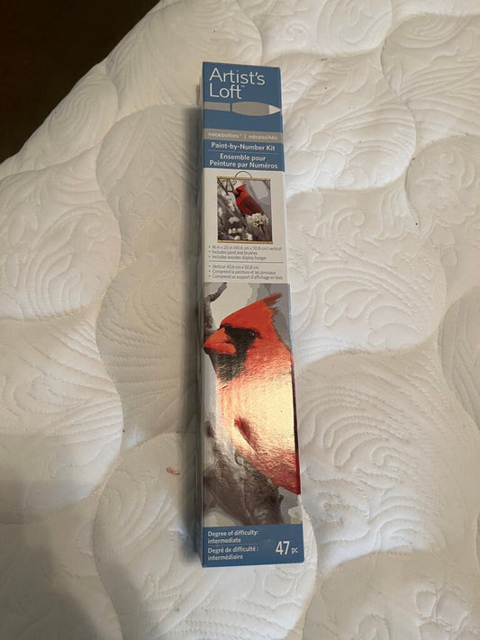 Artist's Loft Paint-by-Number Kit