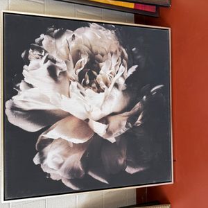 Large Peony Canvas Print with Metallic Frame