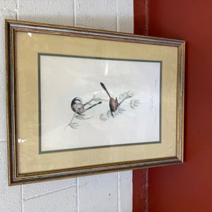 Long-Tailed Tit Print by J.B. Hutchinson, from "The Birds of Great Britain"